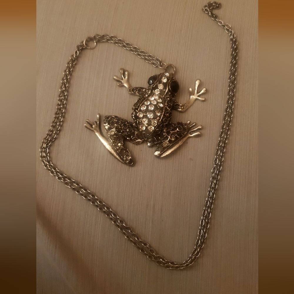Silver Frog Pendant Necklace